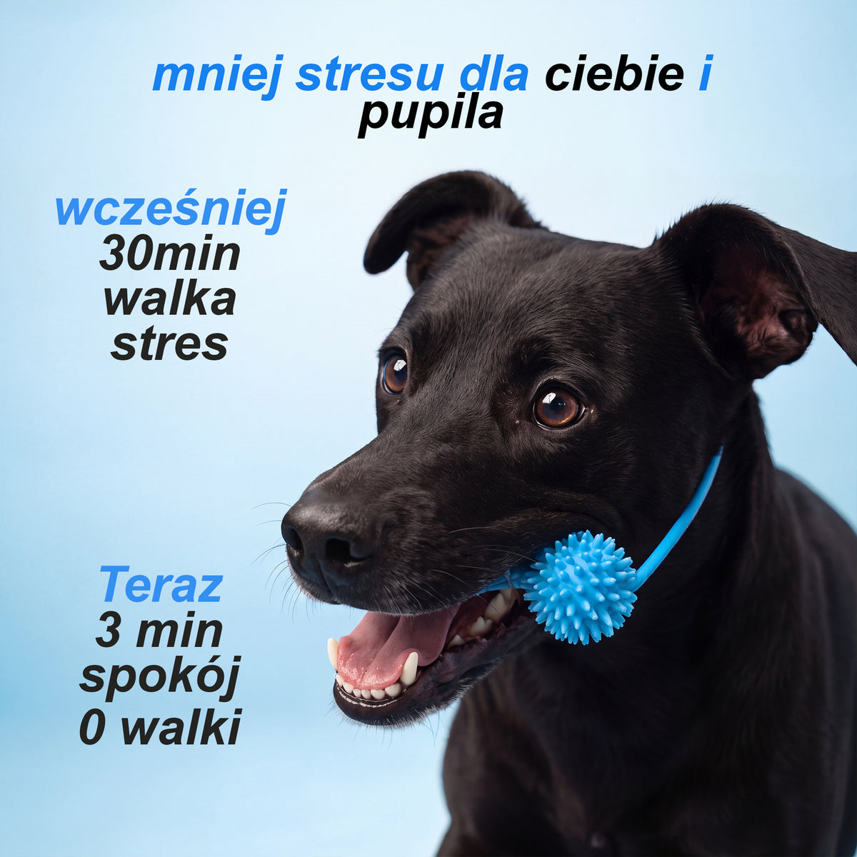 Szczotkość™ – gumowa kość do czyszczenia zębów psa.