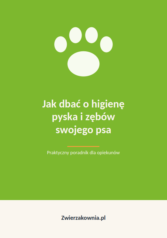 Zwierzakownia™ Ebook - Jak dbać o higienę pyska i zębów twojego psa.